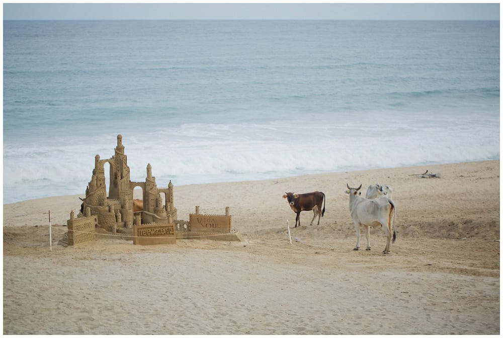 Cabo-Wedding-Photographer---Sara-Richardson_1257